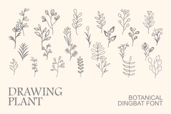 Drawing Plant: Designer Review of This Hand-Drawn Dingbats Font