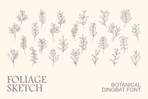 Foliage Sketch: A Web Designerβs Review of This Botanical Font