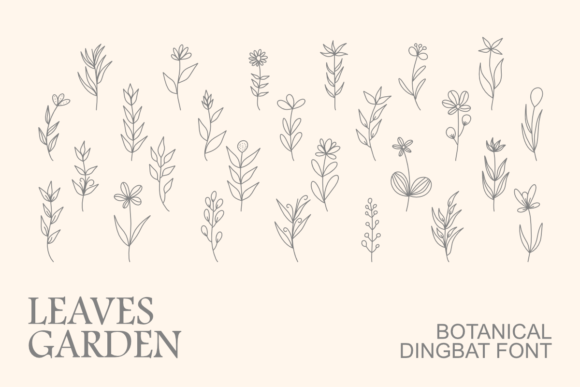Leaves Garden Font Review: Botanical Dingbats for Branding