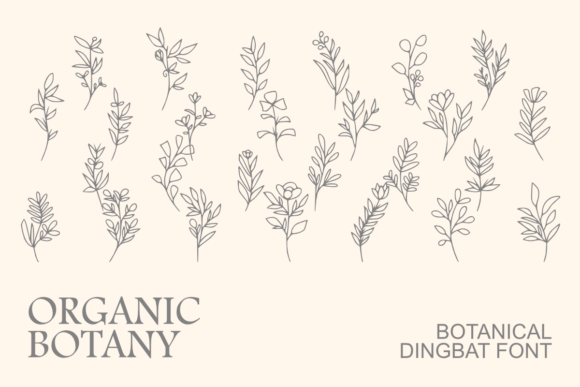 Organic Botany Font: Hand-Drawn Botanical Dingbats for Branding